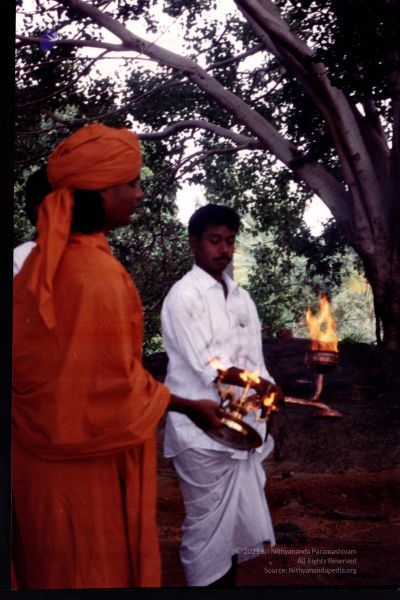 File:2003 PA-461-05.jpg