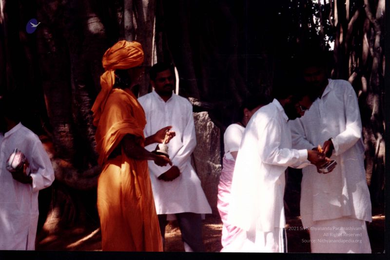 File:2003 PA-461-07.jpg