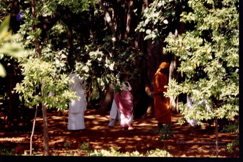 File:2003 PA-461-09.jpg