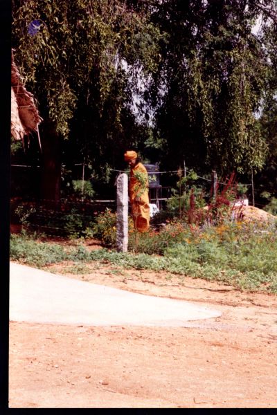 File:2003 PA-461-25.jpg