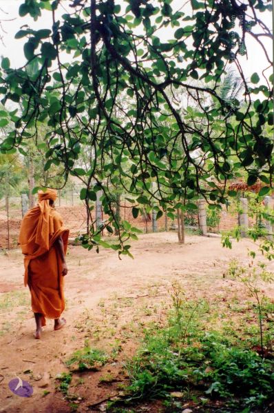 File:2003 PA-77 010 CMP WM001.jpg