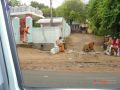 Thumbnail for version as of 18:11, 11 June 2021