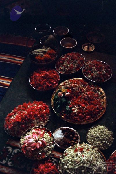 File:20040612 Photo 1044 1brkNLsOV9ls20wQxsbWN 1ymvoD9NU8x.JPG