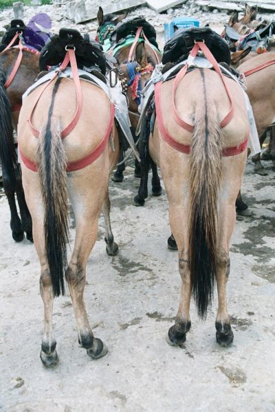 File:200406xx 1 200406xx gkvale-1AA002A CMP WM.jpg