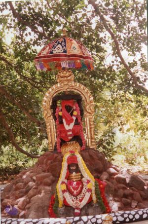 20040702 PA-256-008 CMP WM.jpg