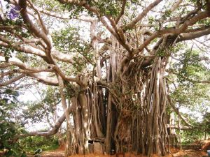 20040702 Photo 117 1 nyXolRZgnuGHwGppJObjQnk2ioEbWWB.jpg