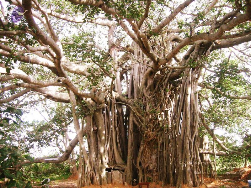 File:20040702 Photo 117 1 nyXolRZgnuGHwGppJObjQnk2ioEbWWB.jpg