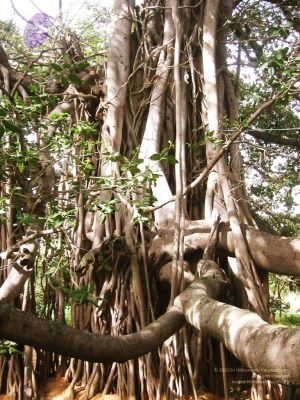 20040702 Photo 129 1GlHXbOmdJvQO2cioUhOiA6ep N5uq HR.jpg