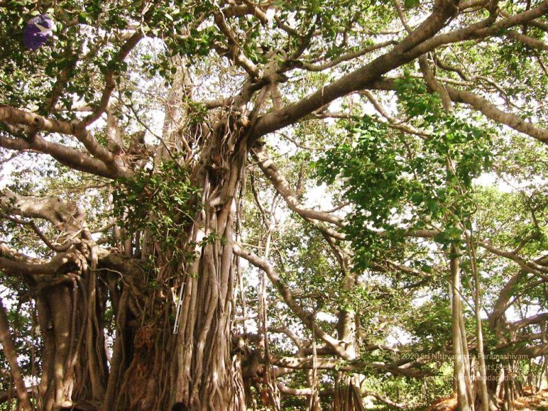 File:20040702 Photo 140 1Tzzh8ys8BDnP4S w5uhSSCtGBXPyABrT.jpg