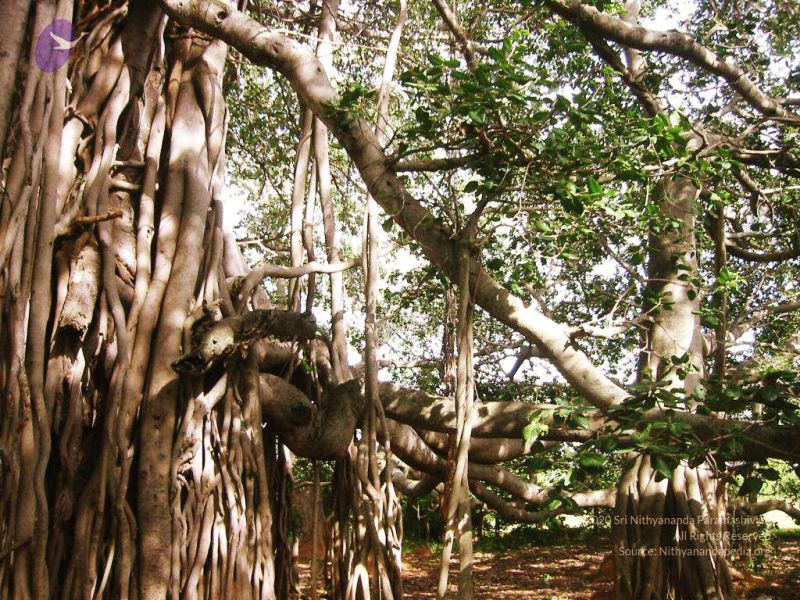 File:20040702 Photo 151 16Js0KN4chd9jTLEXAmDJZkdT616QOmI5.jpg