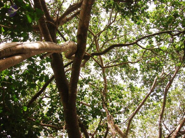 20040702 Photo 162 1LakThKCL-BN3nioZwRBoYrJhyg-2XeFB.jpg