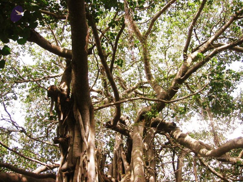 File:20040702 Photo 173 1IOyCk35Xrz 9idDMAlP5UkavQRHGyr2h.jpg