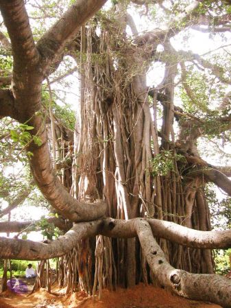 20040702 Photo 236 1HhiipnMDbzlX9vS9mJ5KMMq8xbJCkOCN.jpg