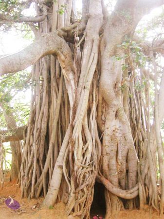 20040702 Photo 47 1NfpJBQkoaWRpD jcjWPA1EQu-RxGEFZg.jpg