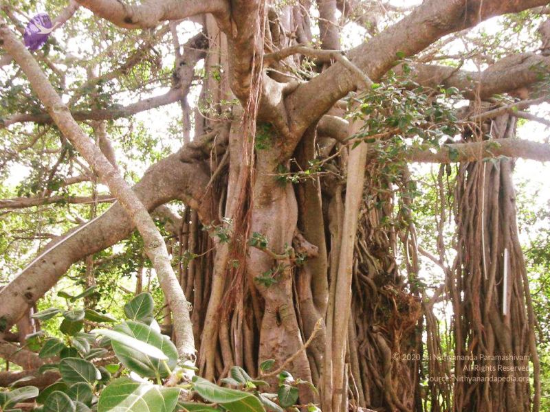 File:20040702 Photo 80 1CStq0om xALeMOYQw9jutxV5VFbNT7de.jpg