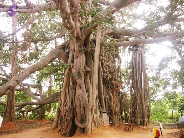 20040702 Photo 86 1Ndj6elp43zZLH6v xiASgYpyO79XuXn-.jpg