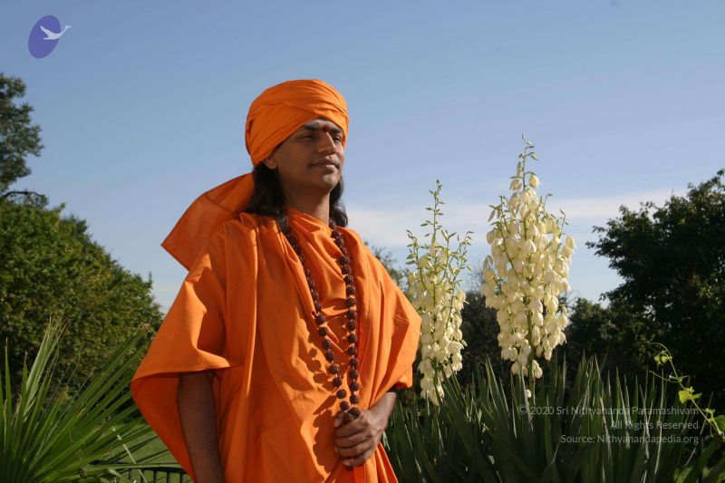 File:20040824 Photo 269 101 84MiQI5J2l-h-Gapz8xzc0RLvLXX0.jpg