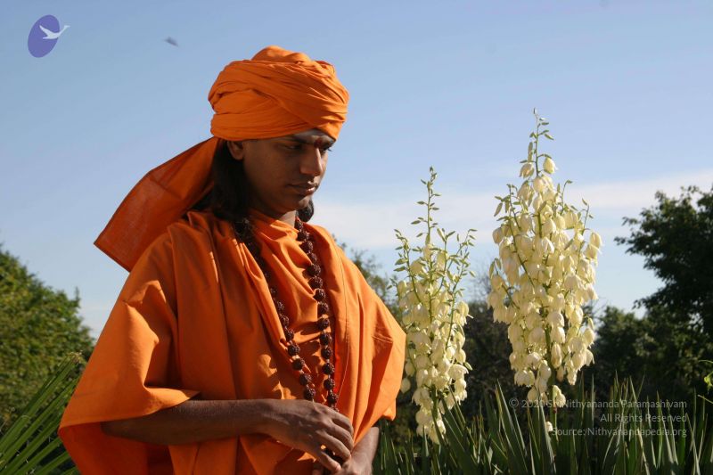 File:20040824 Photo 271 1g7oMHqs9HRfKzDaVdm 9ajXTM5sFKxpB.jpg