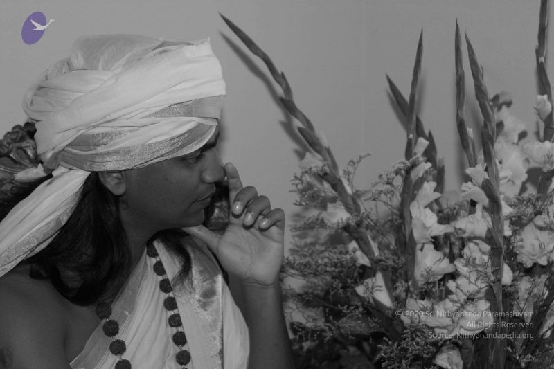 File:20040825 Photo 23 1et5fpMJNSBfn4eJ gUXHMaUbd6pvX2lq.jpg