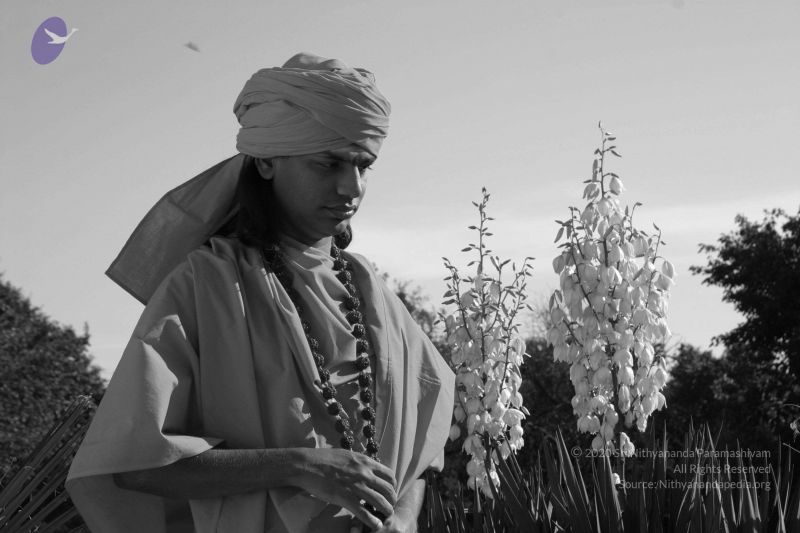 File:20040825 Photo 271 12dPpvJVZo7sPwh-J-qaya4E4zHRHxSSB.jpg