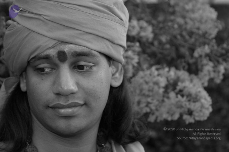 File:20040825 Photo 342 1MB087AGdbaVN3Puqu- 5W2YpwvQP7Ti2.jpg