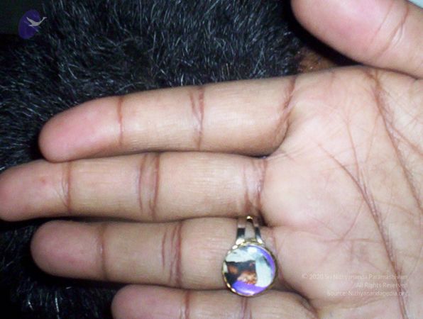 20051111 Photo 1016 1NrRMrxKNmjKbOcv-IbCF8jn7v3TUIOzW.JPG