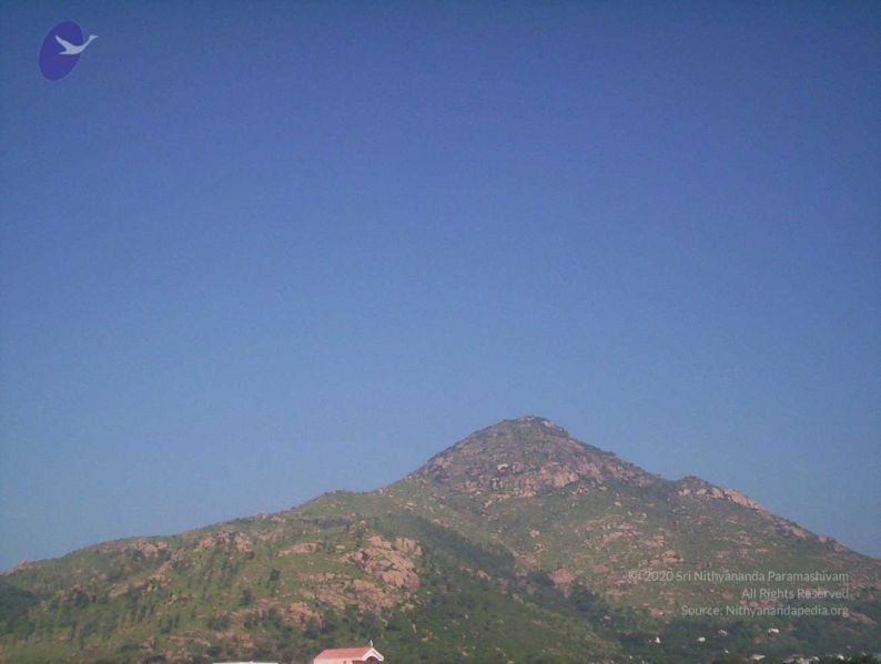 File:20051114100 6187 CMP WM.jpg