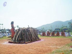 20051114 100 6375 CMP WM00-1.jpg