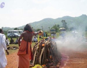 20051114 100 6589 CMP WM00-1.jpg