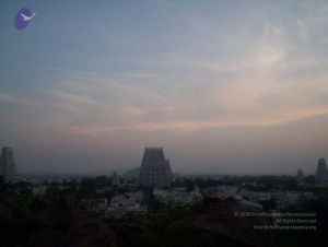 20051114 100 6762 CMP WM00-1.jpg