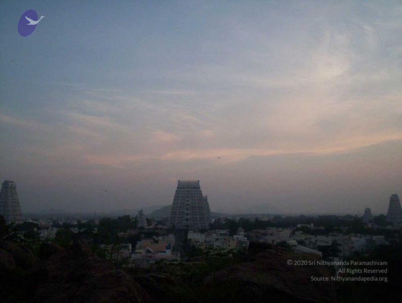 File:20051114 100 6762 CMP WM00-1.jpg