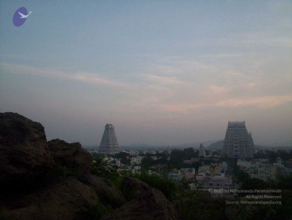 20051114 100 6765 CMP WM00-1.jpg