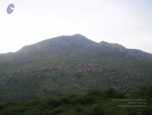 20051114 100 6766 CMP WM00-1.jpg