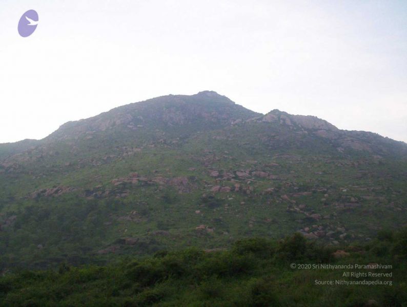 File:20051114 100 6766 CMP WM00-1.jpg