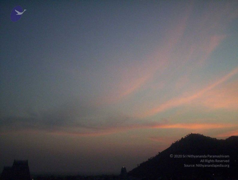 File:20051114 100 6770 CMP WM00-1.jpg