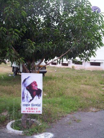 20051120 Photo 201 1Gxxy5Yky0 bWx3MoeykrSXVTBRURY4Q0.jpg