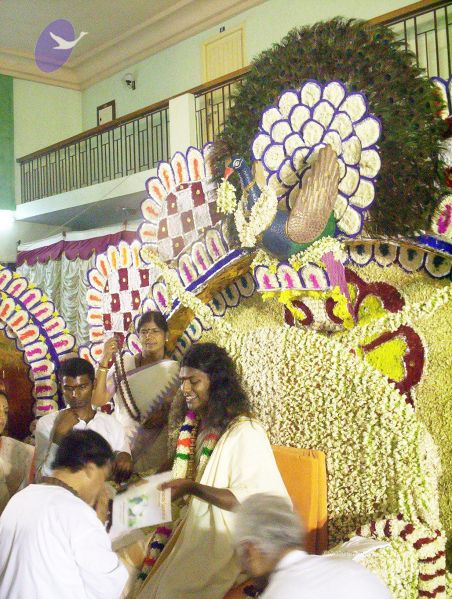 File:20051124 Photo 22 1ma8fbO9bexEsPjVPNvcuxn4IKYXJAiip.jpg