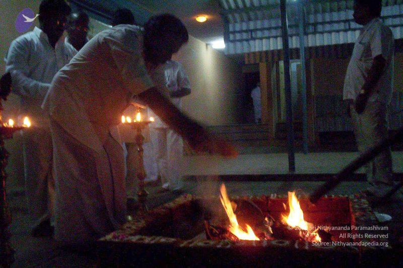 File:20051124 Photo 301 1Gmkpekxx67naGP0pbGrJiEGoC PBoaQ4.jpg