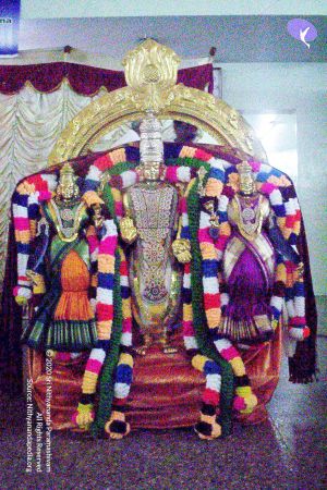 20051124 Photo 386 1g zA4RTEWqJvS0328b1zwjKWLyQ1AHQ1.jpg