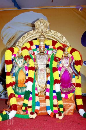 20051201 DSC 3854 CMP WM 11.jpg