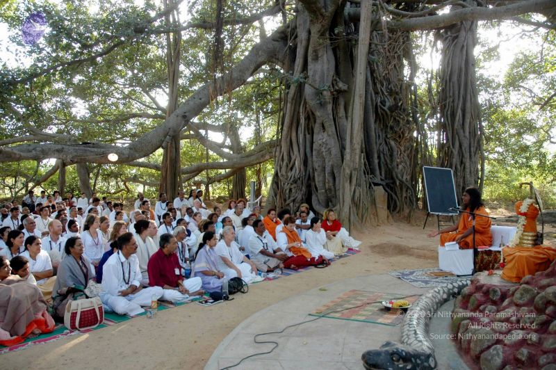 File:20051218 DSC 0771 CMP WM 0011.jpg