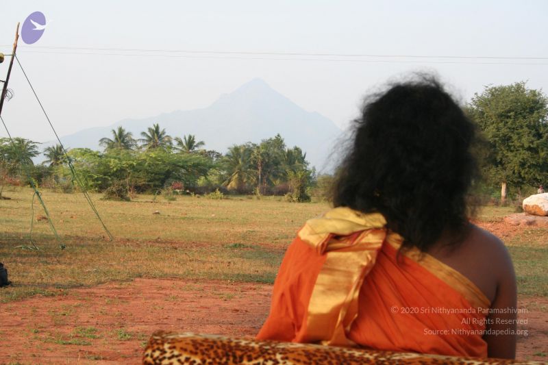 File:20051225 Photo 1066 15deuR0M9FGu58UEK11hjb0FOKOqA2U Z.JPG