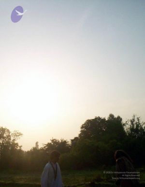 2005 01 CMP WM01.jpg