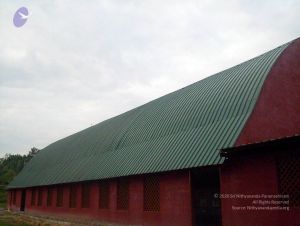 2005 100 4437 CMP WM01.jpg