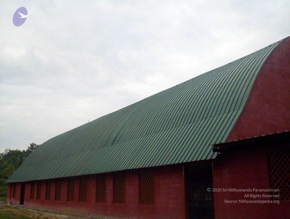 2005 100 4437 CMP WM01.jpg