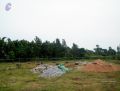 Thumbnail for version as of 18:11, 5 August 2021