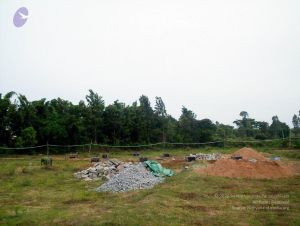 2005 11 CMP WM01.jpg