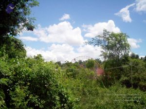 2005 165 CMP WM01.jpg