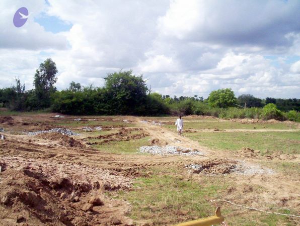 2005 202 CMP WM01.jpg