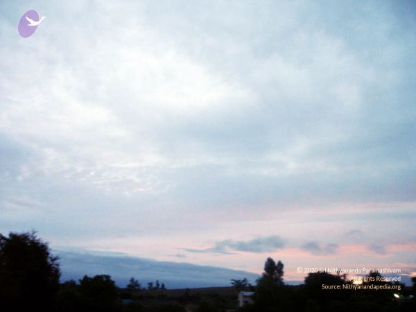 2005 276 CMP WM01.jpg